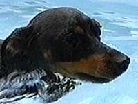 �e�B�e�B �ʐ^1