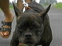 �v�v�F �ʐ^1