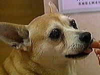 ���イ �ʐ^1