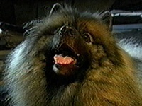 ���� �ʐ^1