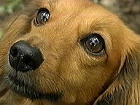 �����[ �ʐ^1