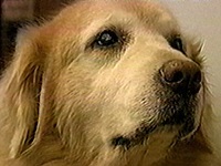 ���C�� �ʐ^1