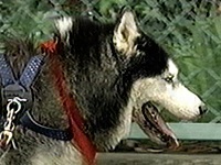 �e���� �ʐ^1