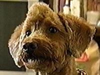 �}���� �ʐ^1