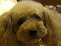 �o���r �ʐ^1