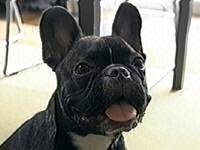 �܂����Y �ʐ^1