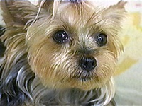 �~���� �ʐ^1