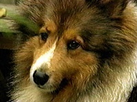 �n���[ �ʐ^1