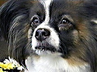 ���� �ʐ^1