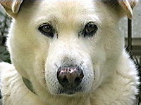 �܂��� �ʐ^1