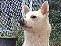 �~���N �ʐ^1