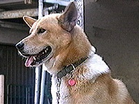 �n�b�s�[ �ʐ^1