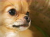 ���� �ʐ^1