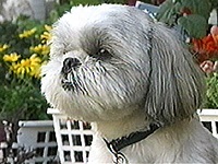 �����Y �ʐ^1