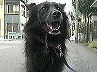 �i�C�g �ʐ^1