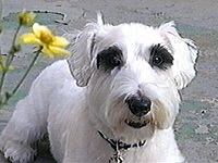 �W���Y �ʐ^1