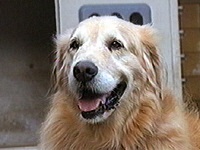 �A�[�� �ʐ^1