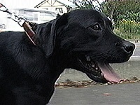 ���b�L�[ �ʐ^1