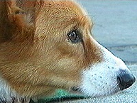 ���� �ʐ^1