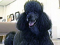 �X�^�� �ʐ^1