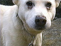 �L���^ �ʐ^1