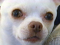 �O�C�h �ʐ^1