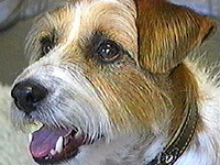 ���b�N�X �ʐ^1