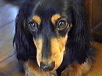 �u���I �ʐ^1