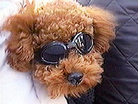 ���� �ʐ^1