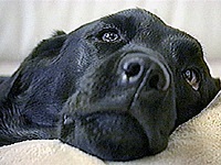 �W���� �ʐ^1