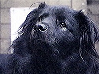 �t�~�� �ʐ^1