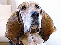 ���b�V�� �ʐ^1