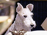 �`���[���[ �ʐ^1