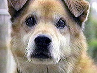 �^���E �ʐ^1