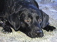 ����ׂ� �ʐ^1