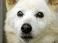 �P���P�� �ʐ^1