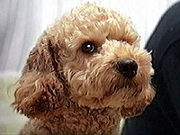 �N���X �ʐ^1