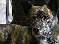 ���� �ʐ^1