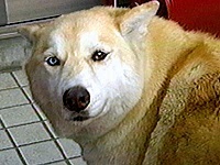 �g���]�E �ʐ^1