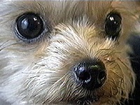 ���� �ʐ^1