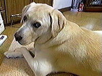 �S���� �ʐ^1