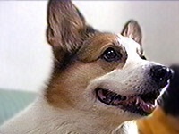 ���� �ʐ^1