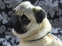 ���b�N �ʐ^1