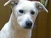 �~�n�X �ʐ^1