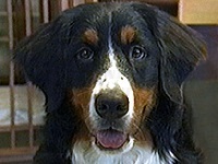 ������ �ʐ^1