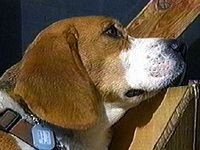 �}�[���[ �ʐ^1