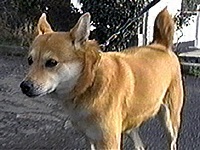 �`���C�� �ʐ^1