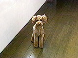Rj[ ʐ^2