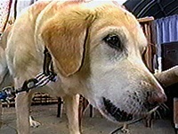 �����[ �ʐ^1