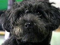 �^���[ �ʐ^1